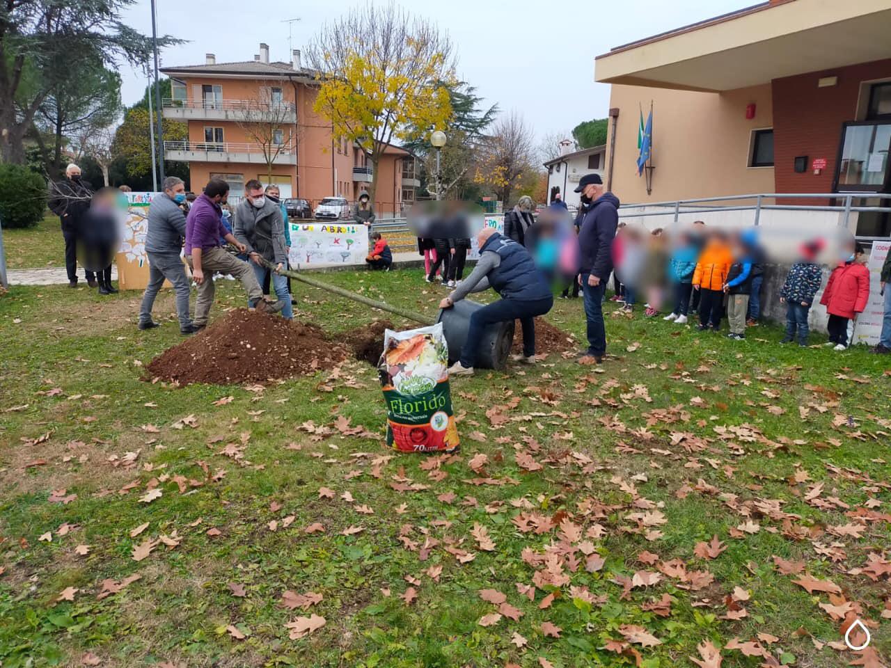 Immagine per Due nuovi alberi nel giardino della scuola, festa con i bambini di Romans